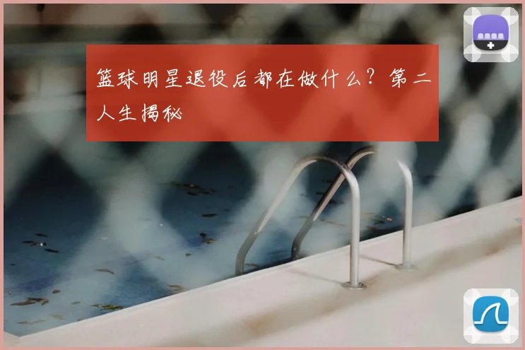 篮球明星退役后都在做什么？第二人生揭秘