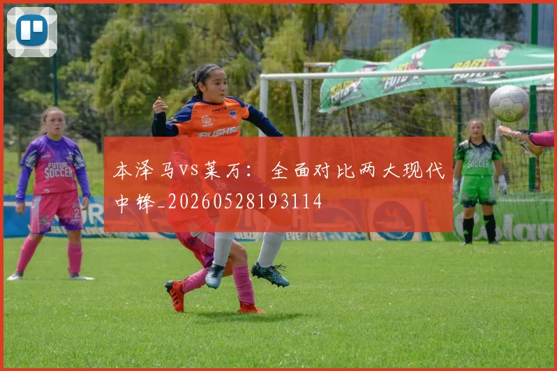 本泽马vs莱万：全面对比两大现代中锋_20260528193114